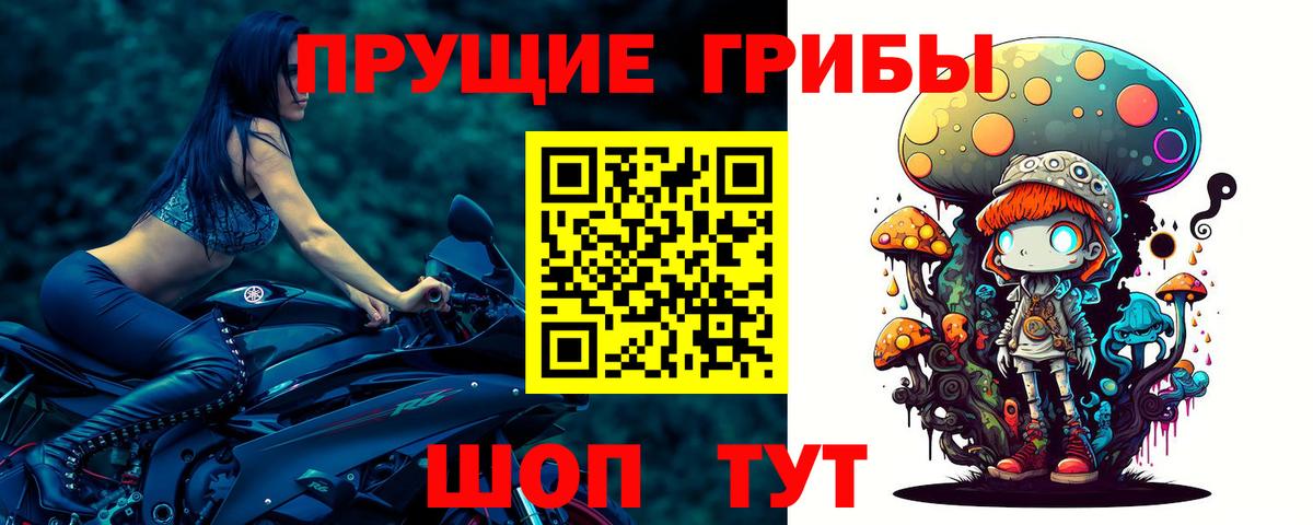 Галлюциногенные грибы Psilocybe Губаха