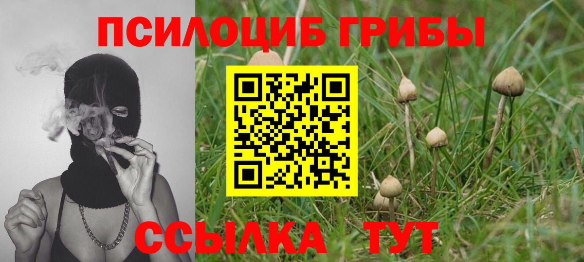 Губаха  сколько стоит  Вход с VPN  Галлюциногенные грибы ЛСД 